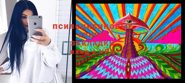 гидра Балахна