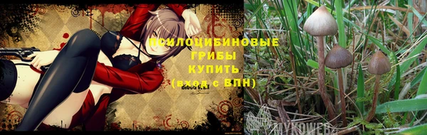 бутират Баксан