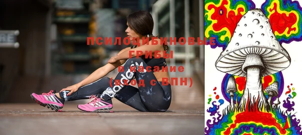 гидра Балахна