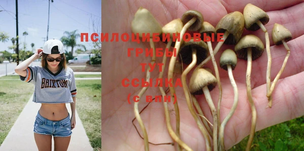 бутират Баксан