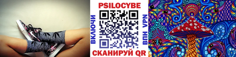 Псилоцибиновые грибы Cubensis  закладка  Сунжа 