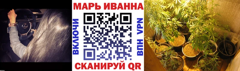 Каннабис SATIVA & INDICA  Сунжа 